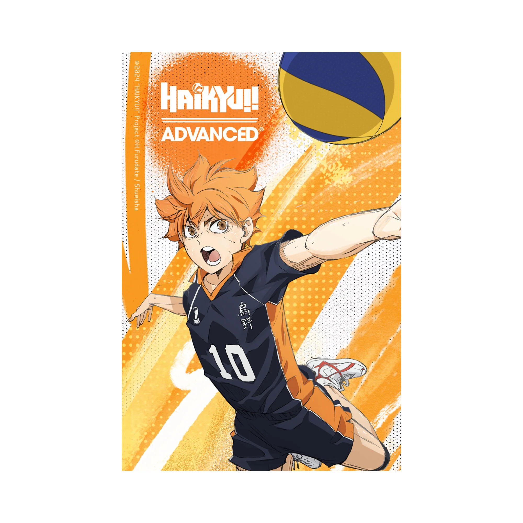 HAIKYU!! - ADVANCED Karasuno Bundle - Image 6